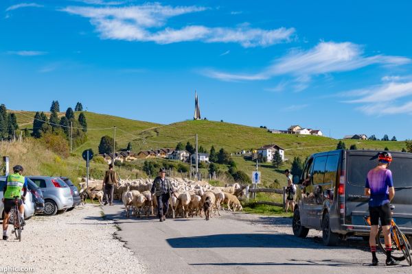 20-09-25-malghe-asiago-123ABDBCD0-4EB5-A1D6-507F-8B4B2707B48F.jpg