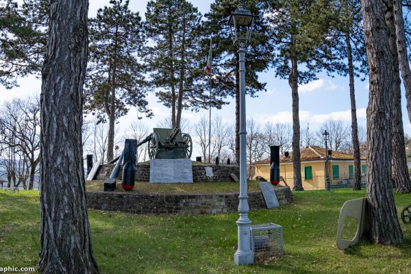 21-02-26-mutonia-4416DAA660-5A5F-D12F-F7A7-808D9CB83D40.jpg